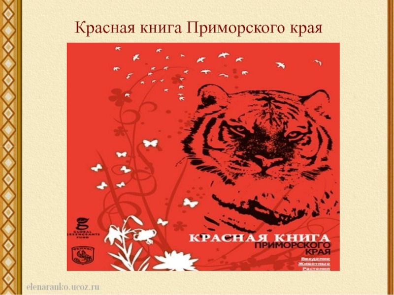 Проект про красную книгу приморский край скачать
